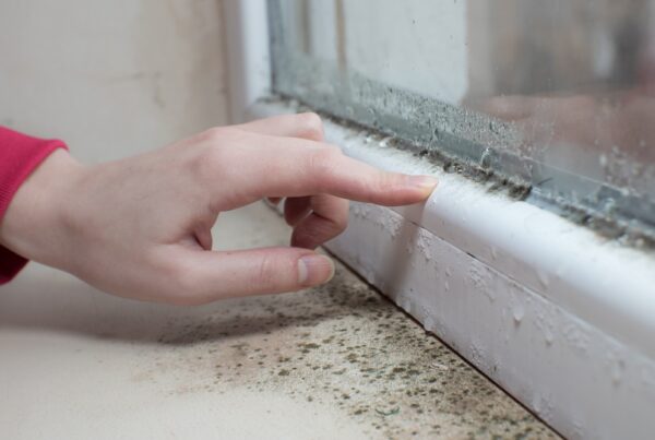 Mould on windowsill