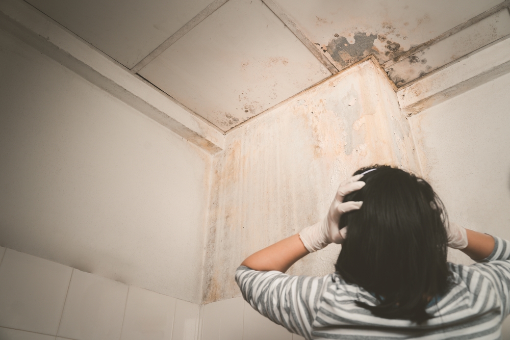 Woman looking up at mouldy ceiling