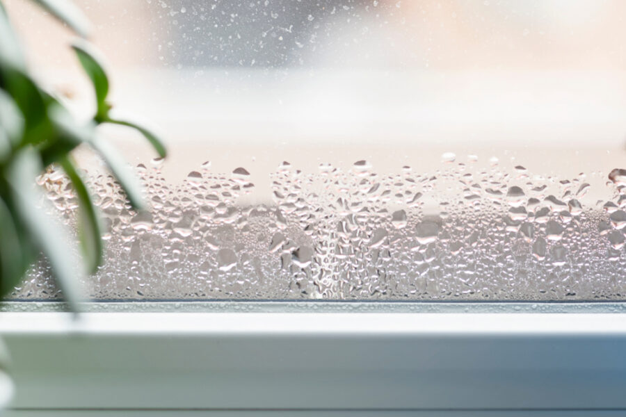 Moisture on a window